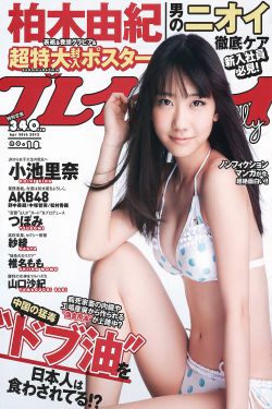 一口气看完海天雄鹰