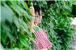 交换的温度2