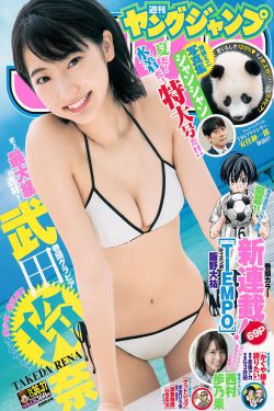杨可涵