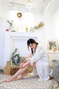木已成舟
