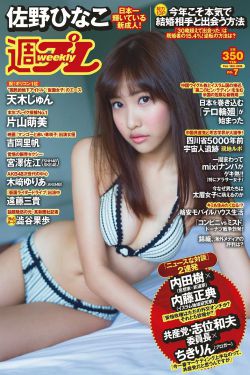 裙底网